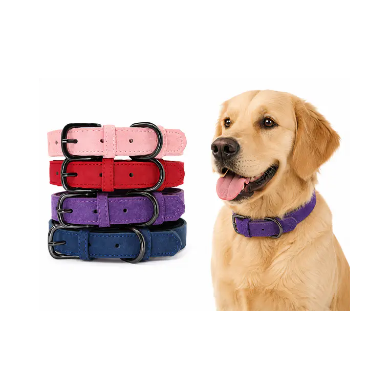 Collar para Perros Estilo Cuero Talla M 42cm - KX4129 1