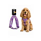 Arnés Para Perro Diseño Full Color Talla M - WD691 - Miniatura 1