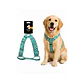 Arnés Para Perro Diseño Full Color Talla L - WD692 - Miniatura 1