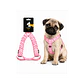 Arnés Para Perro Diseño Full Color Talla S - WD690 - Miniatura 1
