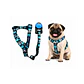 Correa + Arnés para Perros Diseño Nativo Talla S - WD926929 - Miniatura 1