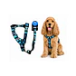 Correa + Arnés para Perros Diseño Nativo Talla M - WD927930 - Miniatura 1