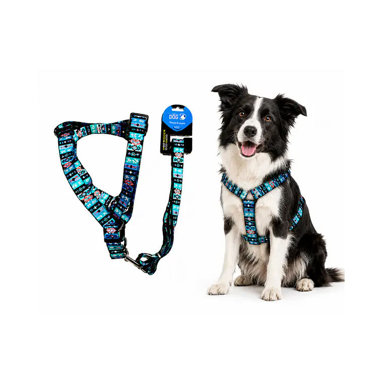 Correa + Arnés para Perros Diseño Nativo Talla L - WD928931 1