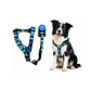 Correa + Arnés para Perros Diseño Nativo Talla L - WD928931 - Miniatura 1