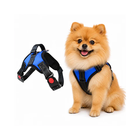 Arnes para Perros con Mango XS GDXB-XS