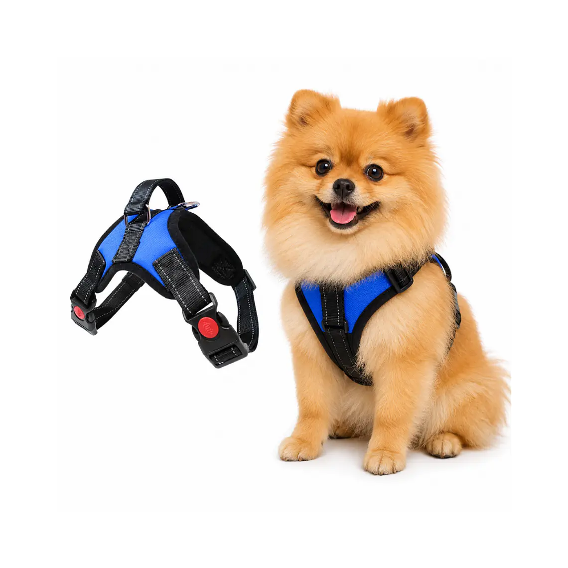 Arnes para Perros con Mango XS GDXB-XS 1