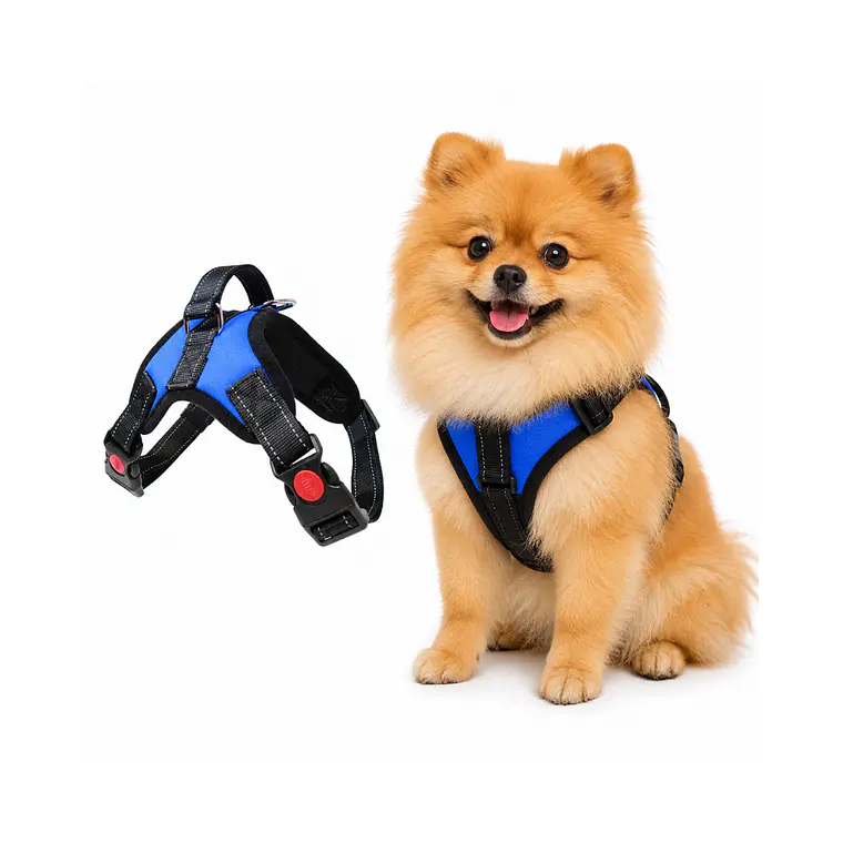 Arnes para Perros con Mango XS GDXB-XS 1