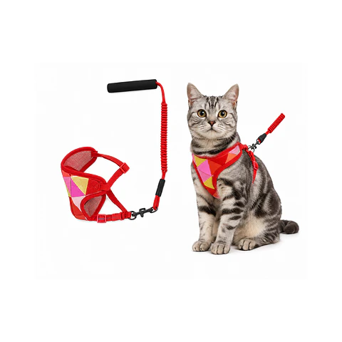Correa + Arnés para Gatos Diseño Surtido Talla S - DN184