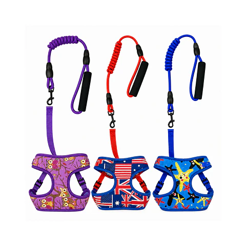 Correa + Arnés para Gatos Diseño Surtido Talla S - DN184