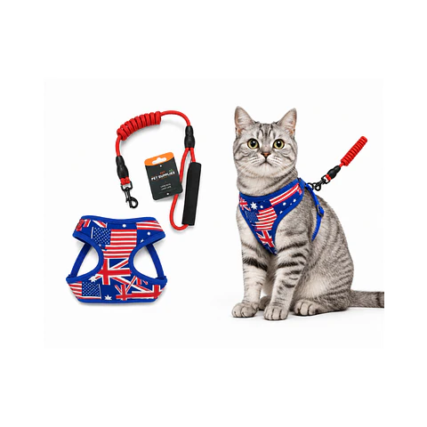 Correa + Arnés para Gatos Diseño Surtido Talla M- DN185