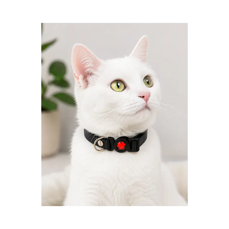 Collar Para Gatos Anti Ahorque Diseño Negro Charol 20-32 cm YYL103888 3