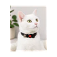 Collar Para Gatos Anti Ahorque Diseño Negro Charol 20-32 cm YYL103888 - Miniatura 3