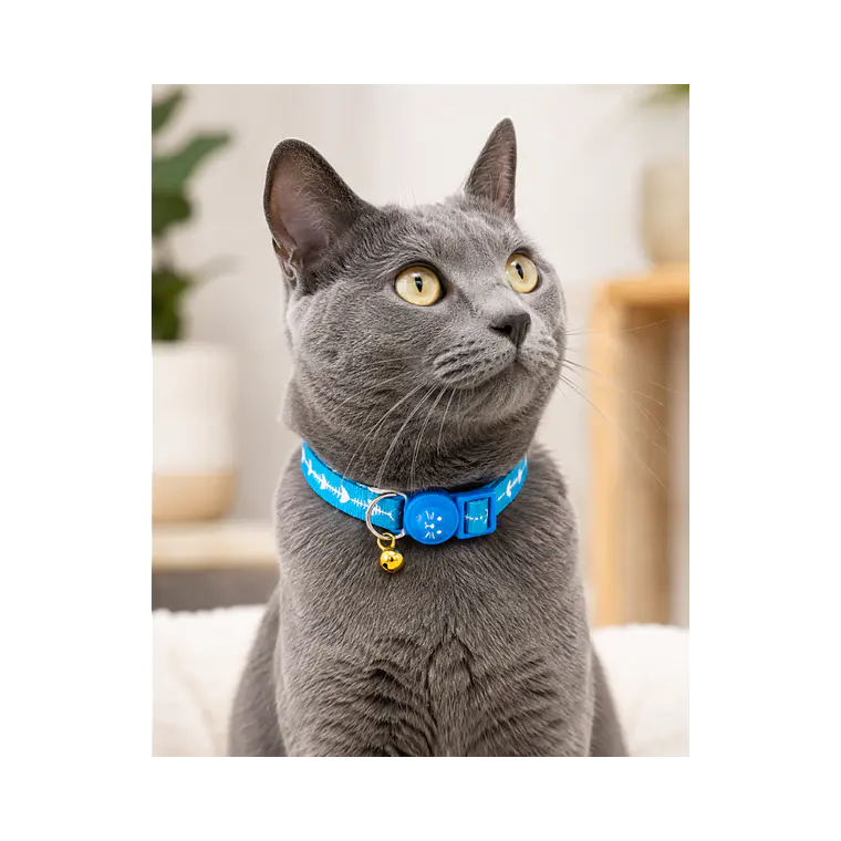 Collar Para Gatos Anti Ahorque Diseño Celeste 20-32 cm YL103899 3