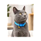Collar Para Gatos Anti Ahorque Diseño Celeste 20-32 cm YL103899 - Miniatura 3