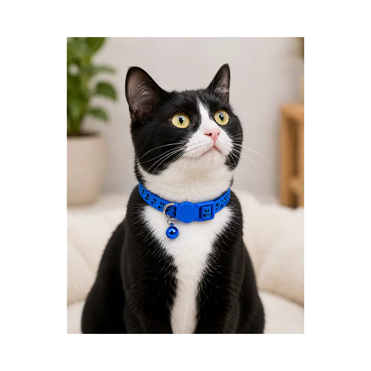 Collar Para Gatos Anti Ahorque Colores Surtidos - KX1003 2