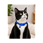 Collar Para Gatos Anti Ahorque Colores Surtidos - KX1003 - Miniatura 2