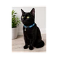Collar Para Gatos Anti Ahorque Diseño Reflectante 18-28cm - VM007 - Miniatura 2
