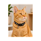 Collar Para Gatos Anti Ahorque Diseño Jeans Fish 18-28cm - VM002 - Miniatura 2