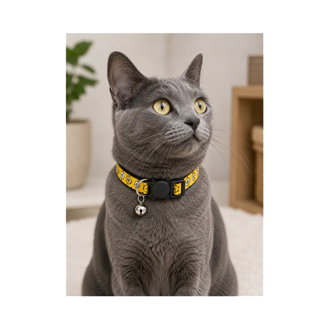 Collar Para Gatos Anti Ahorque Diseño Pajaritos 18-28cm - VM009 2