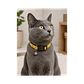 Collar Para Gatos Anti Ahorque Diseño Pajaritos 18-28cm - VM009 - Miniatura 2