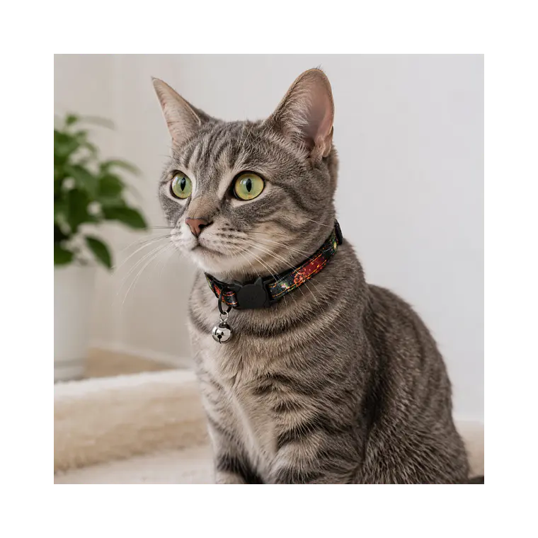 Collar Para Gatos Anti Ahorque Diseño Galaxia 18-28 cm - VM025 2