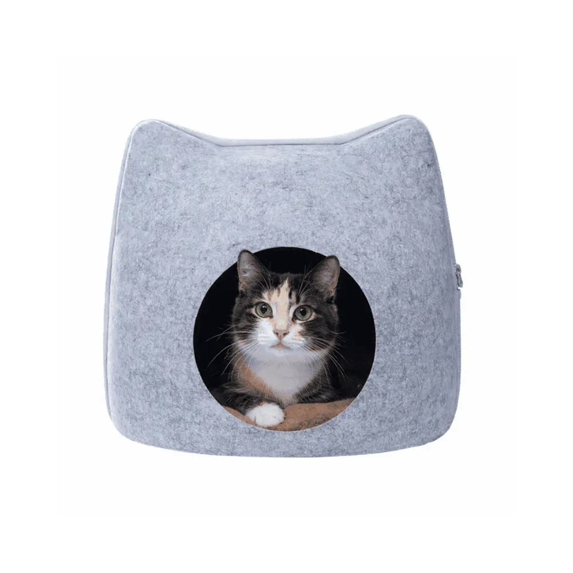 Regufios Para Mascotas Forma de Gato - RYM001 1