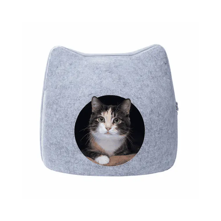 Regufios Para Mascotas Forma de Gato - RYM001 1