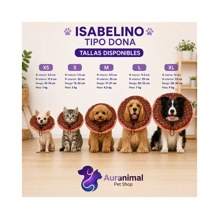 Collar Isabelino Tipo Dona S 3