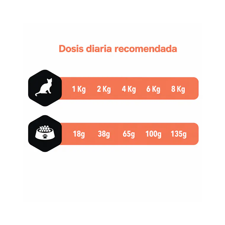 Alimento Amity Gato Adulto Salmon - 7kg 2
