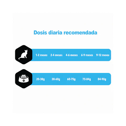 Alimento Amity Gato Kitten Salmon - 2kg