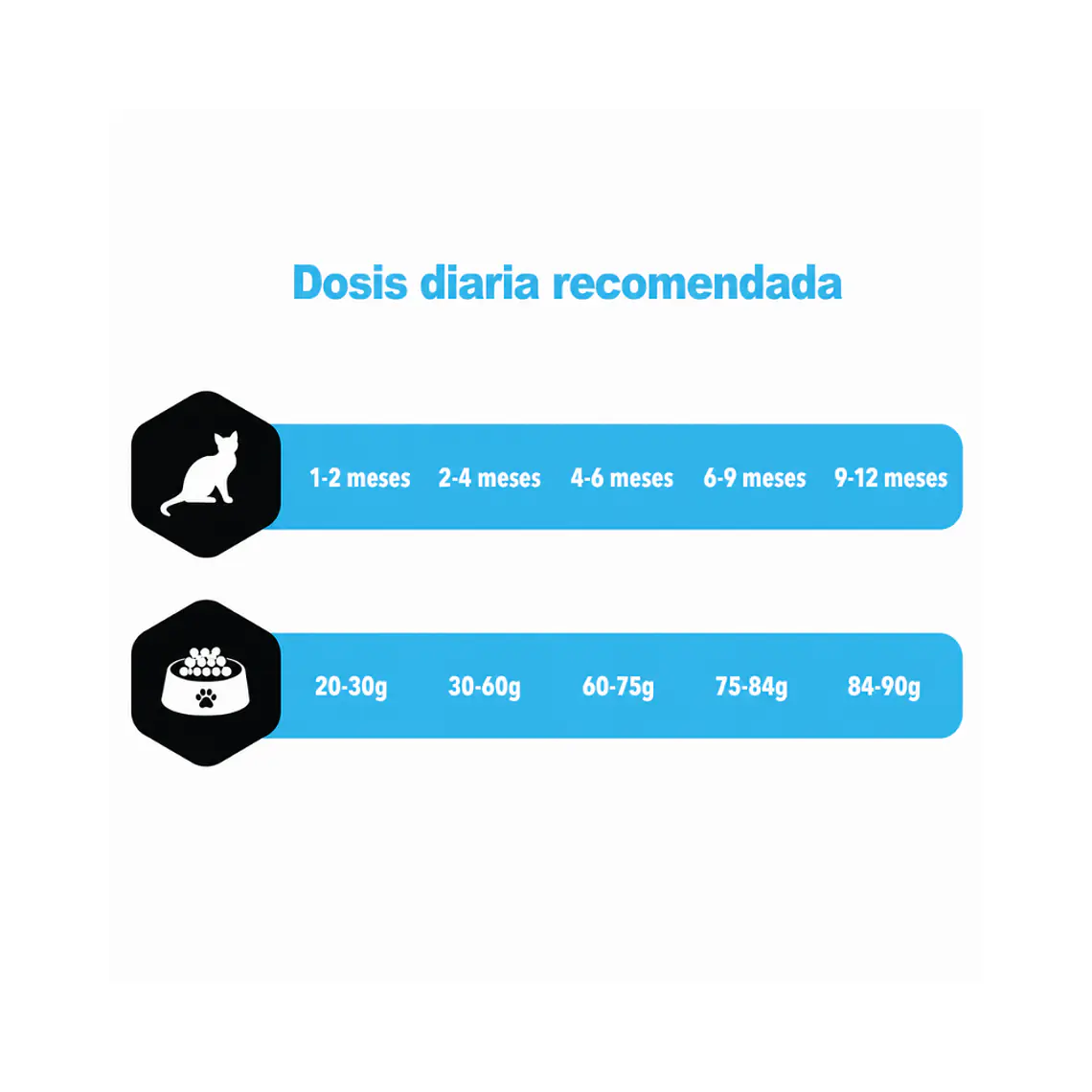 Alimento Amity Gato Kitten Salmon - 2kg 2