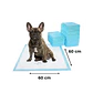Sabanilla Baby Pets Carbón Pads 50 unidades -60 x 60cm - Miniatura 2