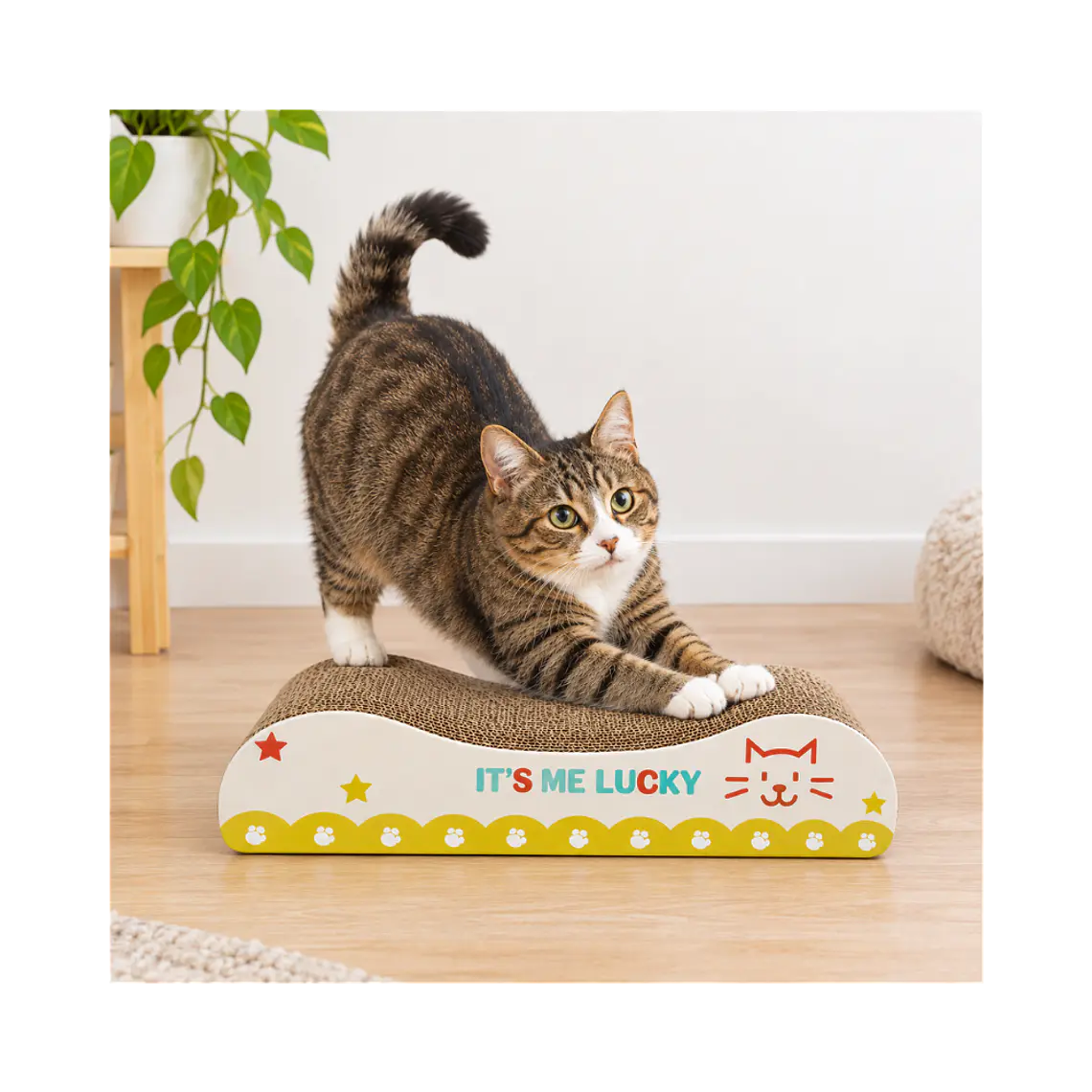 Rascador De Cartón Para Gatos Estilo Sofa - JT028 2