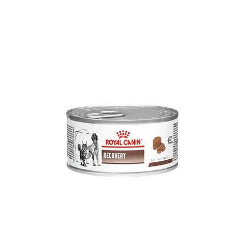Lata Royal Canin Recovery Canino- Felino - 145GR