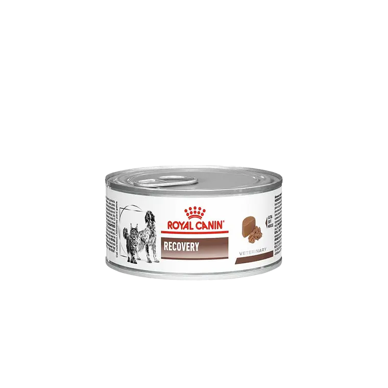 Lata Royal Canin Recovery Canino- Felino - 145GR 1