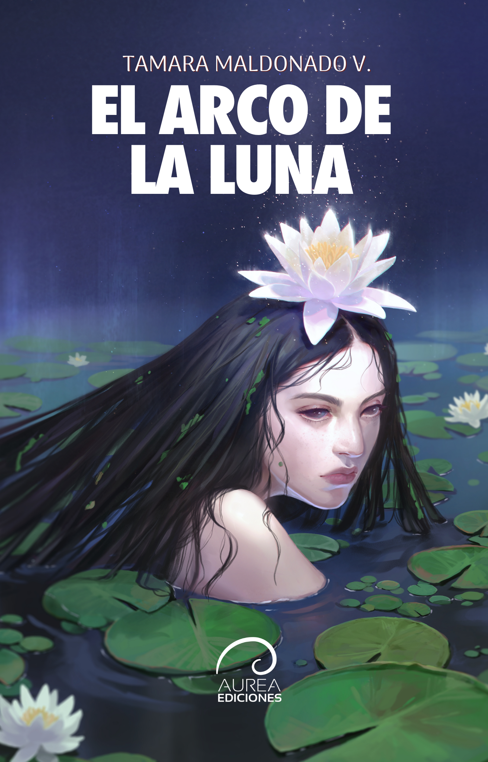 El Arco de la Luna