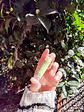 Balsamo Menta Coco - Miniatura 2