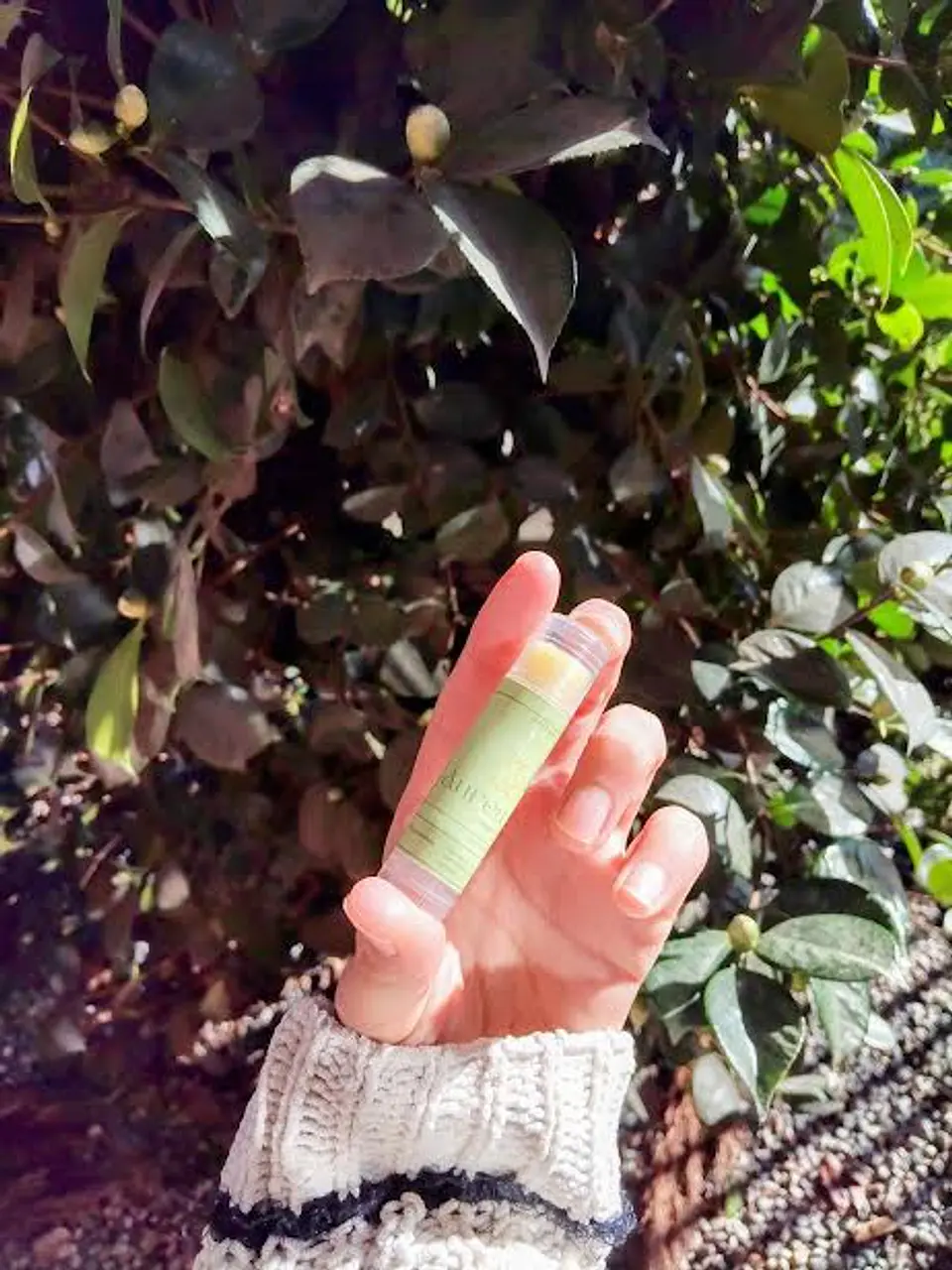 Balsamo Menta Coco 2