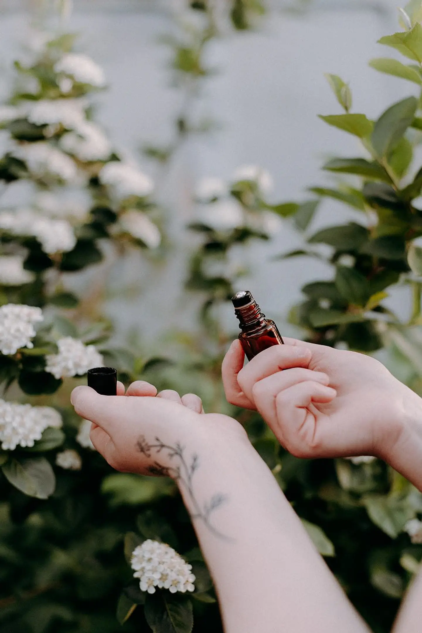 Aromaterapia