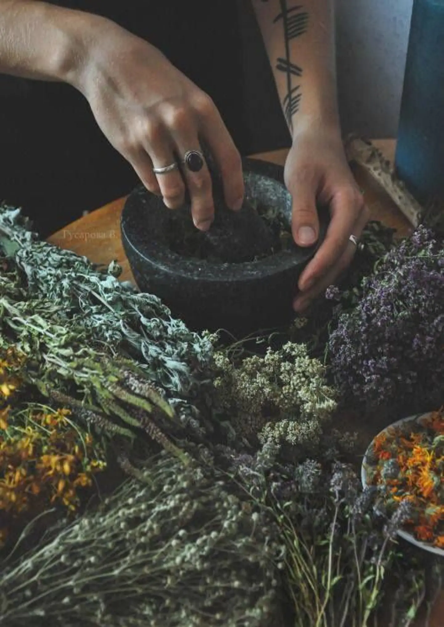 Infusiones