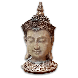 CABEZA BUDA 33 CMS