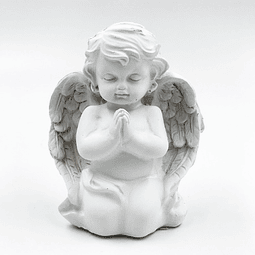 ANGEL ORANDO 10 CMS