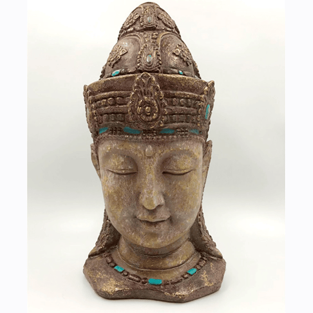 CABEZA BUDA  31 CMS