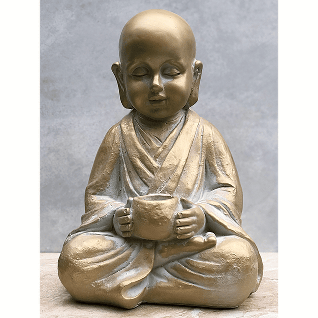 BUDA GOLD 37 CMS