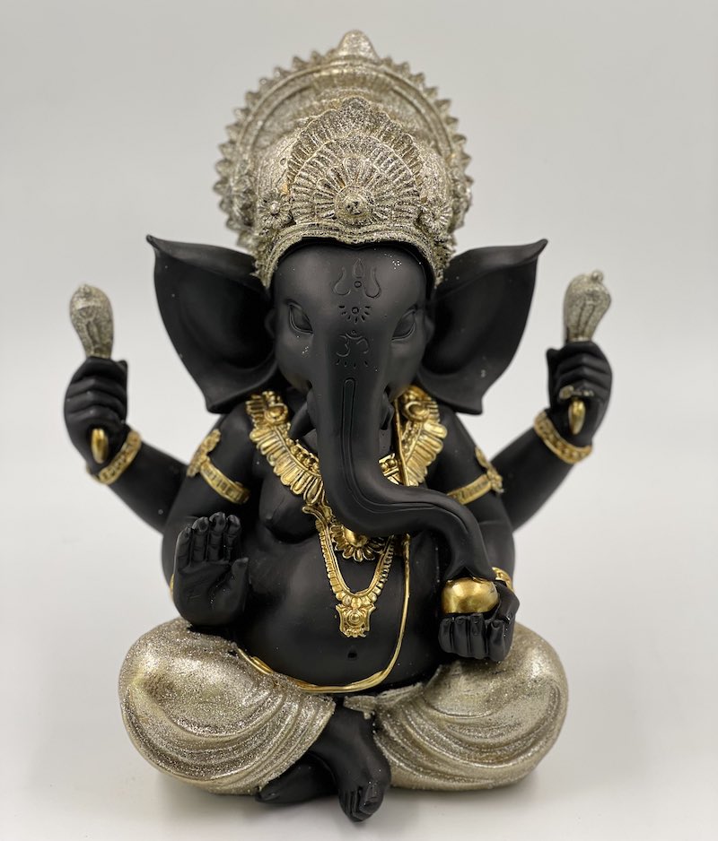 GANESHA 25 CMS