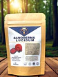 Reishi - Ganoderma en polvo - Miniatura 1