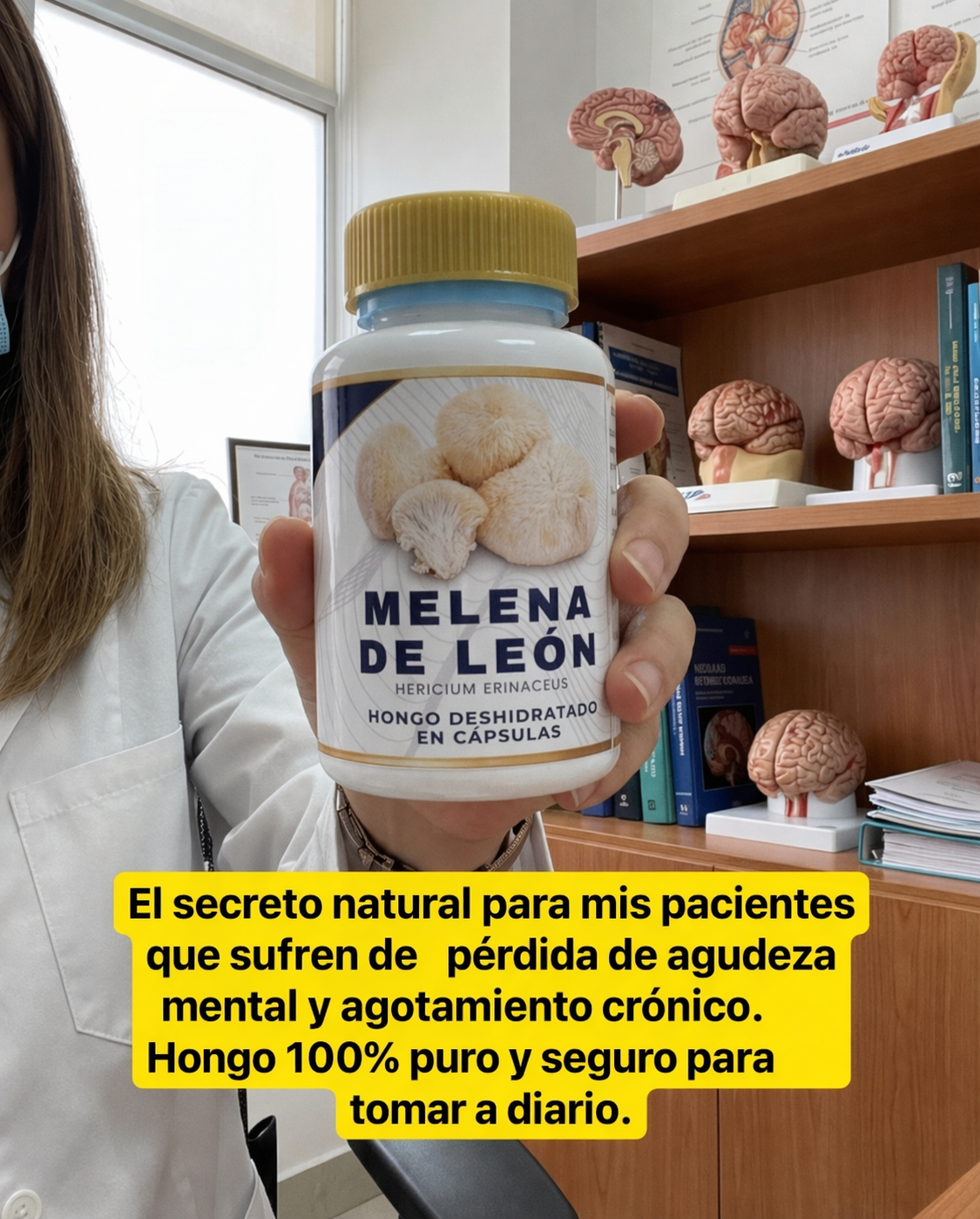 Potencia tu Memoria, Enfoque y Claridad Mental con el hongo melena de leon 6