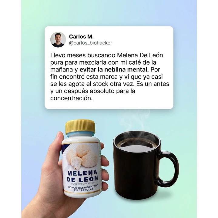 Pack Promocional - 2 Tarros de melena de leon x 60 Capsulas c/u - 120 capsulas en total 10