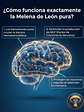 Pack Promocional - 4 Tarros de melena de leon x 60 Capsulas c/u - 240 capsulas en total+ OBSEQUIO - Miniatura 11