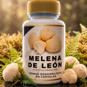 1 Frasco x 60 Cápsulas de Melena de Leon